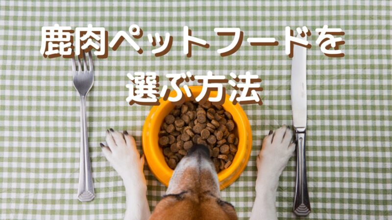 鹿肉ペットフードを選ぶ３つのポイントを解説 ジビエーる